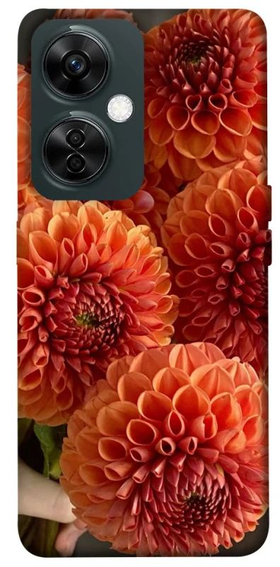 Чохол на OnePlus Nord CE 3 Lite Flower1 фото 1 з 1