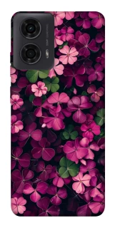 Чохол на Motorola Moto G24 Flowers v7 фото 1 з 1