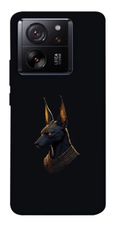 Чехол на Xiaomi 13T Anubis фото 1 из 1