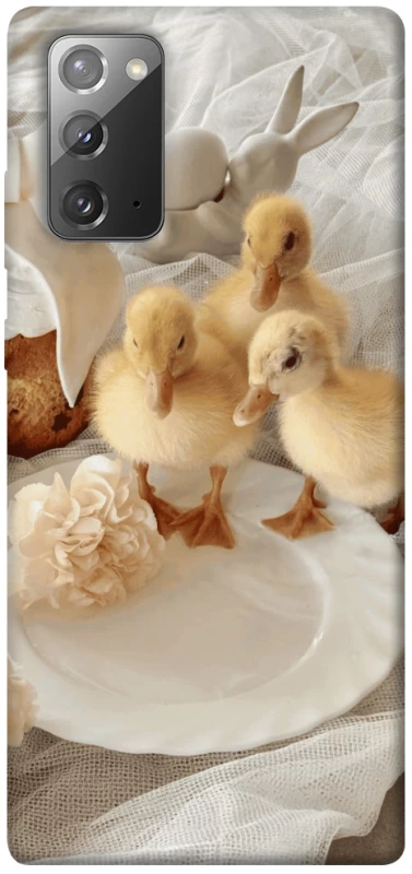 Чехол на Samsung Galaxy Note 20 Easter Vibes фото 1 из 1