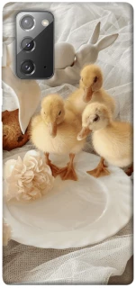 Чехол на Samsung Galaxy Note 20 Easter Vibes фото 1 из 1