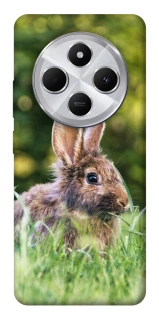 Чехол на Xiaomi Redmi 14C / Poco C75 Кролики фото 1 из 1