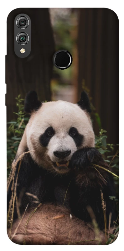 Чохол на Huawei Honor 8X Панда фото 1 з 1
