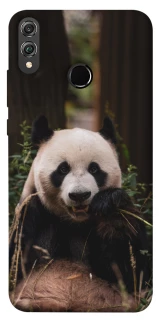 Чехол на Huawei Honor 8X Панда фото 1 из 1