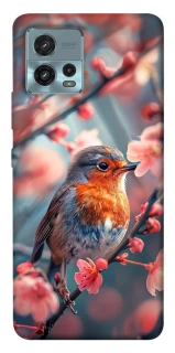 Чохол на Motorola Moto G72 Birdie фото 1 з 1