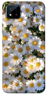 Чехол на Realme C11 (2021) Поле ромашек фото 1 из 1
