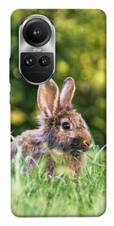 Чохол на Oppo Reno 10 Кролики фото 1 з 1