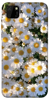 Чохол на Huawei Y5p Поле ромашок фото 1 з 1