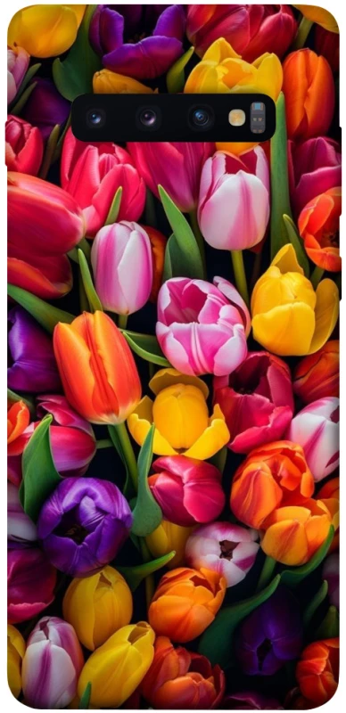 Чехол на Samsung Galaxy S10+ Flowers v30 фото 1 из 1