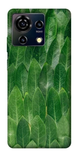 Чехол на ZTE Blade V50 Vita Листья фото 1 из 1