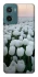 Чехол на Motorola Moto G06 Flowers v1 фото 1 Чехол на Motorola Moto G06 Flowers v1 фото 1 из 1