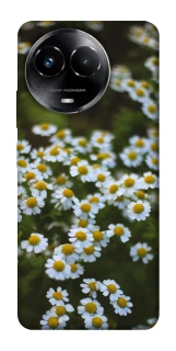 Чехол на Realme C67 4G Ромашки v13 фото 1 из 1