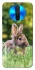 Чохол на Xiaomi Redmi K30 Кролики фото 1 з 1