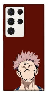 Чохол на Samsung Galaxy S23 Ultra Sakuna v3 фото 1 з 1