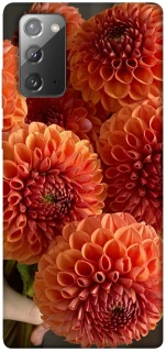 Чохол на Samsung Galaxy Note 20 Flower1 фото 1 з 1