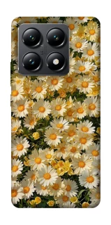 Чохол на Xiaomi 14T Camomile фото 1 з 1
