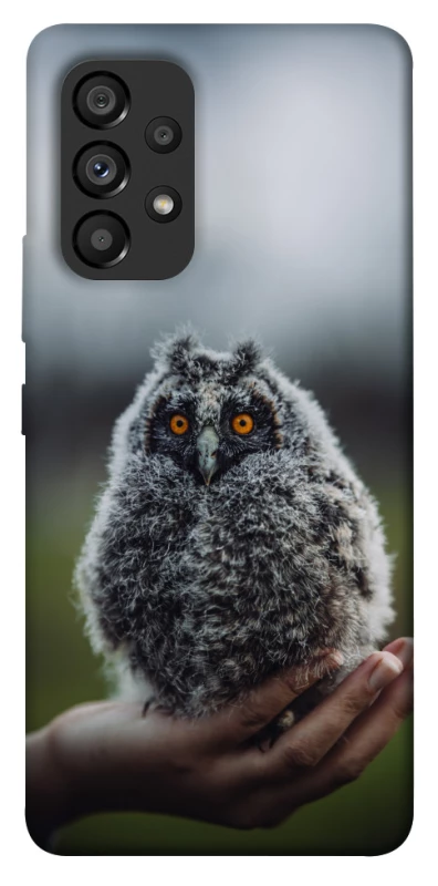 Чехол на Samsung Galaxy A53 5G Совёнок фото 1 из 1