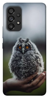 Чохол на Samsung Galaxy A53 5G Совеня фото 1 з 1