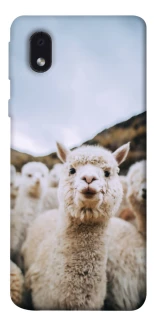 Чохол на Samsung Galaxy M01 Core / A01 Core Лама фото 1 з 1