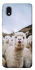 Чохол на Samsung Galaxy M01 Core / A01 Core Лама фото 1 з 1