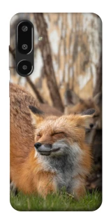 Чехол на Samsung Galaxy F16 Лиса фото 1 из 1