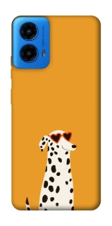 Чехол на Motorola Moto G45 Долматинец фото 1 из 1