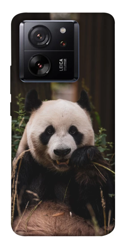 Чохол на Xiaomi 13T Панда фото 1 з 1