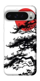 Чохол на Google Pixel 9 Pro XL Дух Японії v2 фото 1 з 1