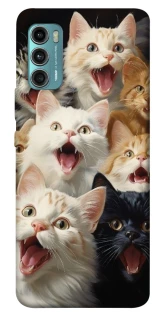 Чохол на Motorola Moto G60 Коти фото 1 з 1