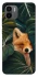 Чохол на Xiaomi Redmi A1+ / Poco C50 / A2+ Fox фото 1 з 1