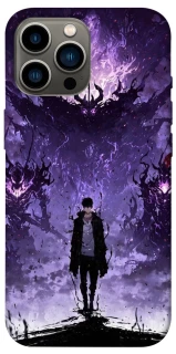 Чохол на Apple iPhone 13 Pro Max (6.7") Sung Jinwoo фото 1 з 1