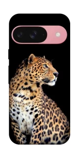 Чохол на Google Pixel 9 Leopard v2 фото 1 з 1