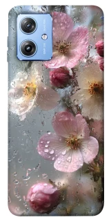 Чохол на Motorola Moto G84 Flowers v10 фото 1 з 1