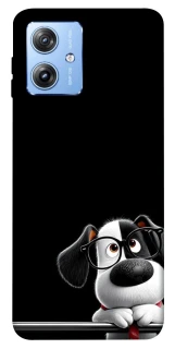 Чохол на Motorola Moto G84 My Dog фото 1 з 1