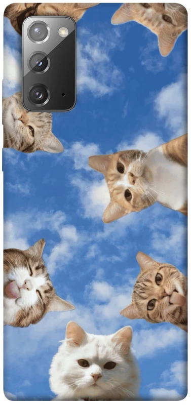 Чохол на Samsung Galaxy Note 20 Сats фото 1 з 1