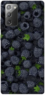 Чохол на Samsung Galaxy Note 20 Fresh фото 1 з 1