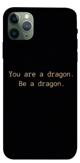 Чохол на Apple iPhone 11 Pro Max (6.5") House of the Dragon ver.9 фото 1 з 1