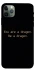 Чохол на Apple iPhone 11 Pro Max (6.5") House of the Dragon ver.9 фото 1 з 1