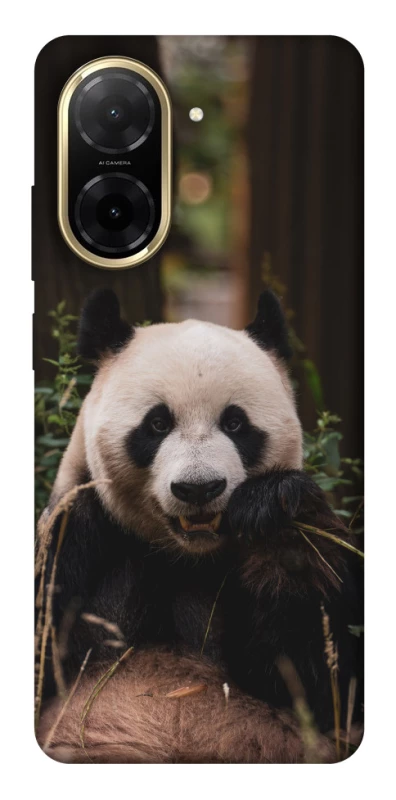 Чехол на Xiaomi Redmi A5 (Europe version) Панда фото 1 из 1