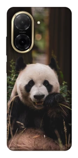 Чехол на Xiaomi Redmi A5 (Europe version) Панда фото 1 из 1