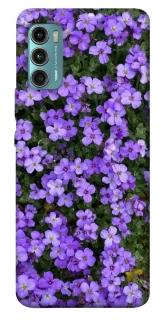 Чехол на Motorola Moto G60 Flowers v17 фото 1 из 1