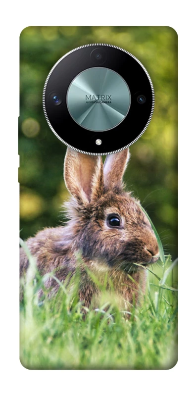 Чехол на Huawei Magic6 Lite Кролики фото 1 из 1