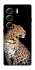Чохол на Tecno Camon 40 Pro 5G Leopard v2 фото 1 з 1