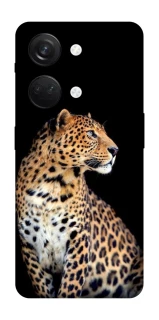 Чехол на OnePlus Nord 3 Leopard v2 фото 1 из 1