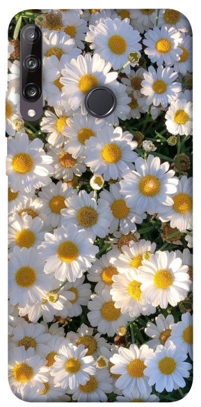 Чохол на Huawei P40 Lite E Поле ромашок фото 1 з 1
