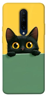Чехол на OnePlus 7 Pro Black cat v2 фото 1 из 1