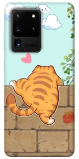 Чохол на Samsung Galaxy S20 Ultra Cat the meow фото 1 з 1