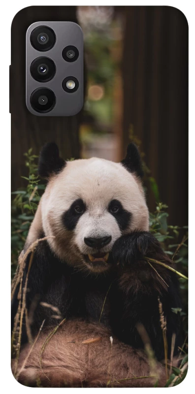 Чохол на Samsung Galaxy A23 4G Панда фото 1 з 1
