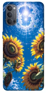 Чохол на Oppo Reno 4 Sunflowers фото 1 з 1