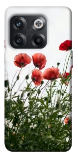 Чохол на OnePlus 10T Поле маків фото 1 з 1